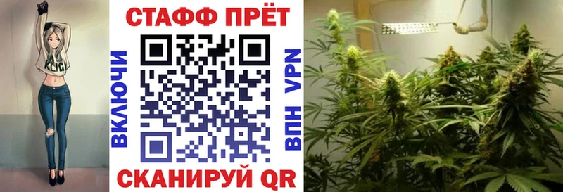 Где продают наркотики Шуя Канабис  гидра как войти  ГАШ  Мефедрон 
