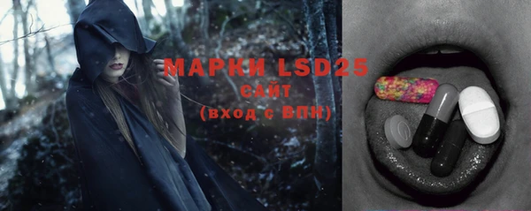 прущий лед Алзамай
