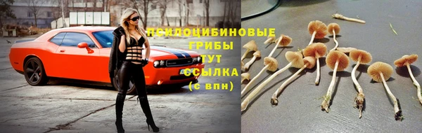 наркотики Алексеевка