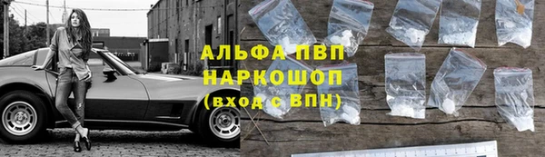 прущий лед Алзамай